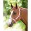 Shires Adjustable Headcollar In Pink