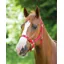 Shires Adjustable Headcollar In Red