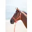 Topaz Nylon Headcollar Pink