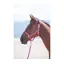 Topaz Nylon Headcollar Raspberry