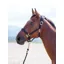 Topaz Nylon Headcollar Black