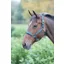 Topaz Nylon Headcollar Dark Green