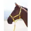 Topaz Nylon Headcollar Yellow