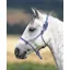 Shires One Size Rope Control Headcollar In Blue