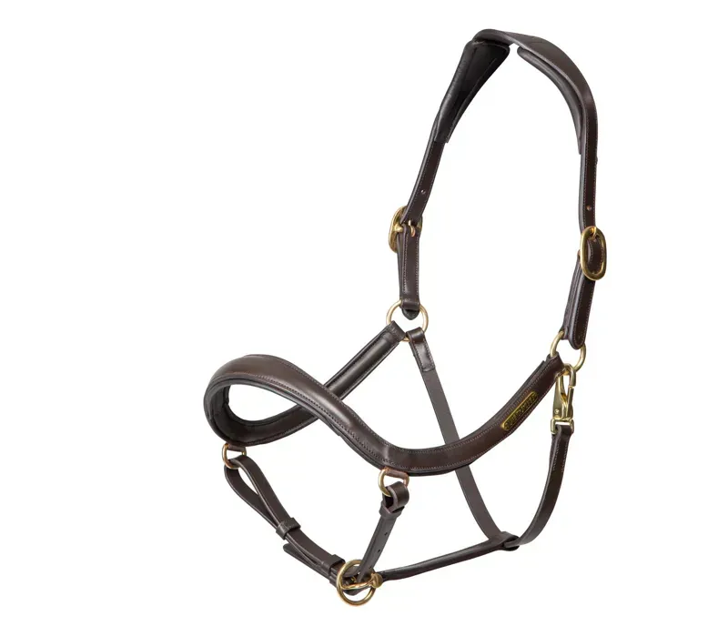 Velociti Rapida Curved Leather Headcollar in Havana