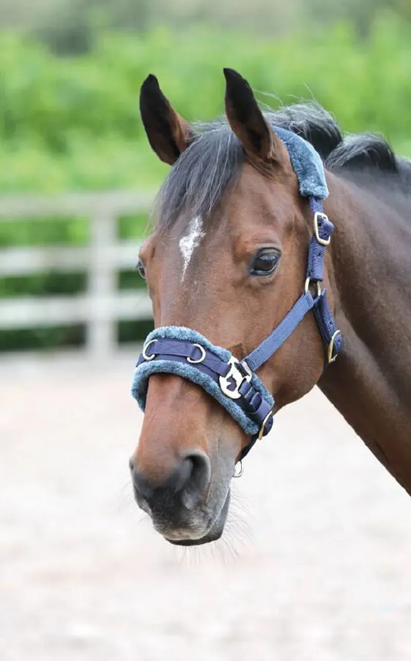 Shires Fleece Lined Lunge Cavesson In Navy