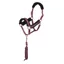 Arma Logo Headcollar and Lead Rope in Burgundy