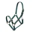 Arma Adjustable Headcollar in Green