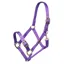 Arma Adjustable Headcollar in Purple