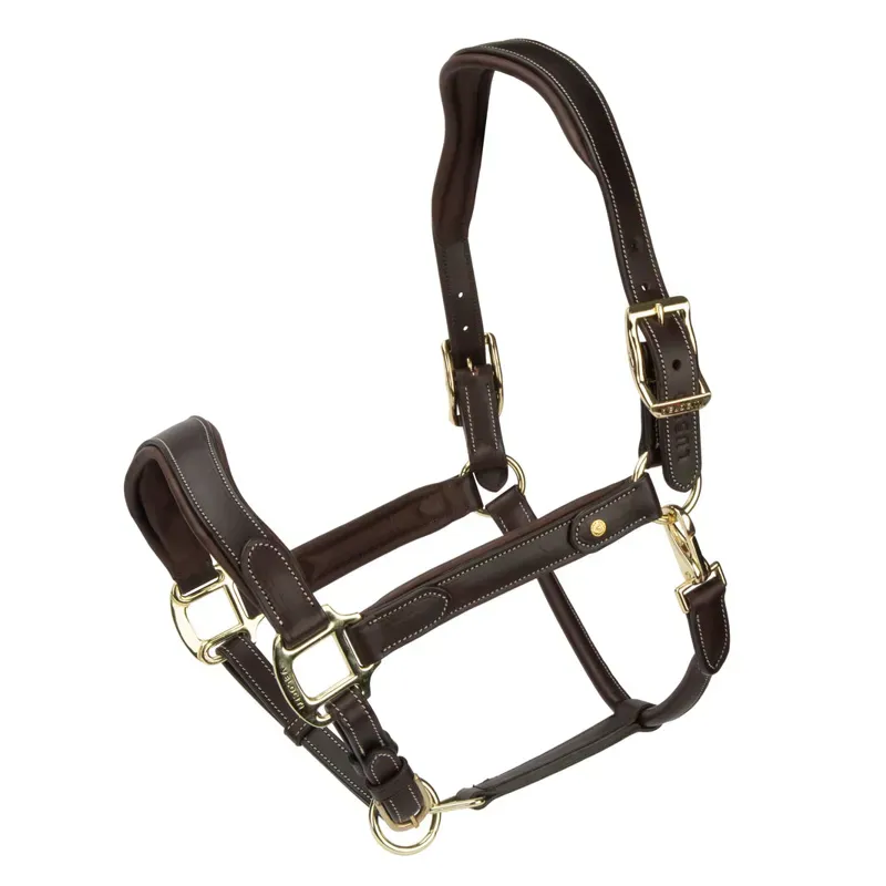 Velociti Lusso Lorca Leather Headcollar in Havana