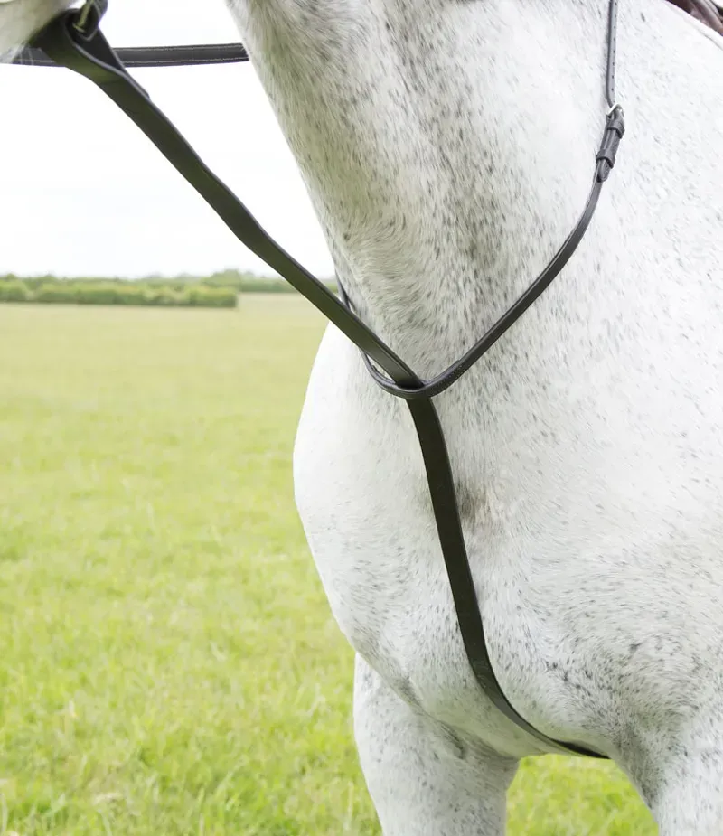 Velociti GARA Standing Martingale Black