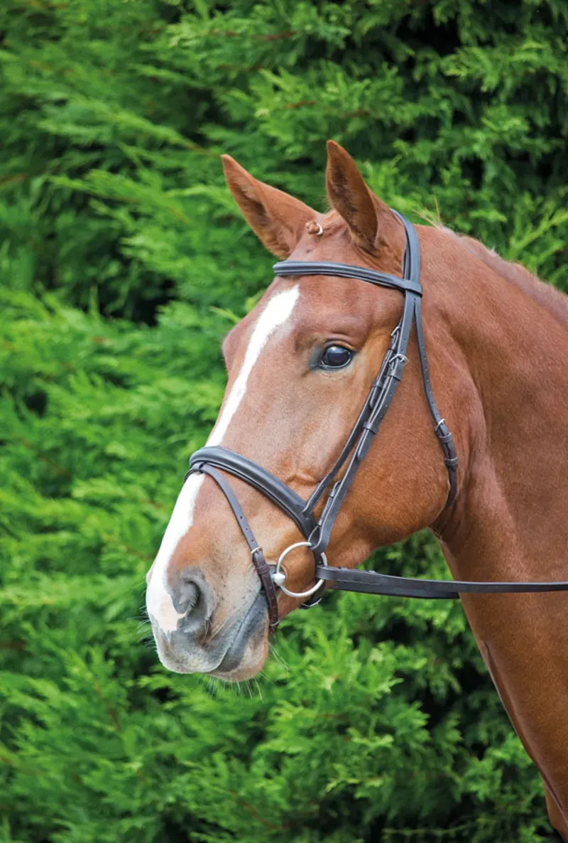 Velociti GARA Comfort Fit Bridle Black 