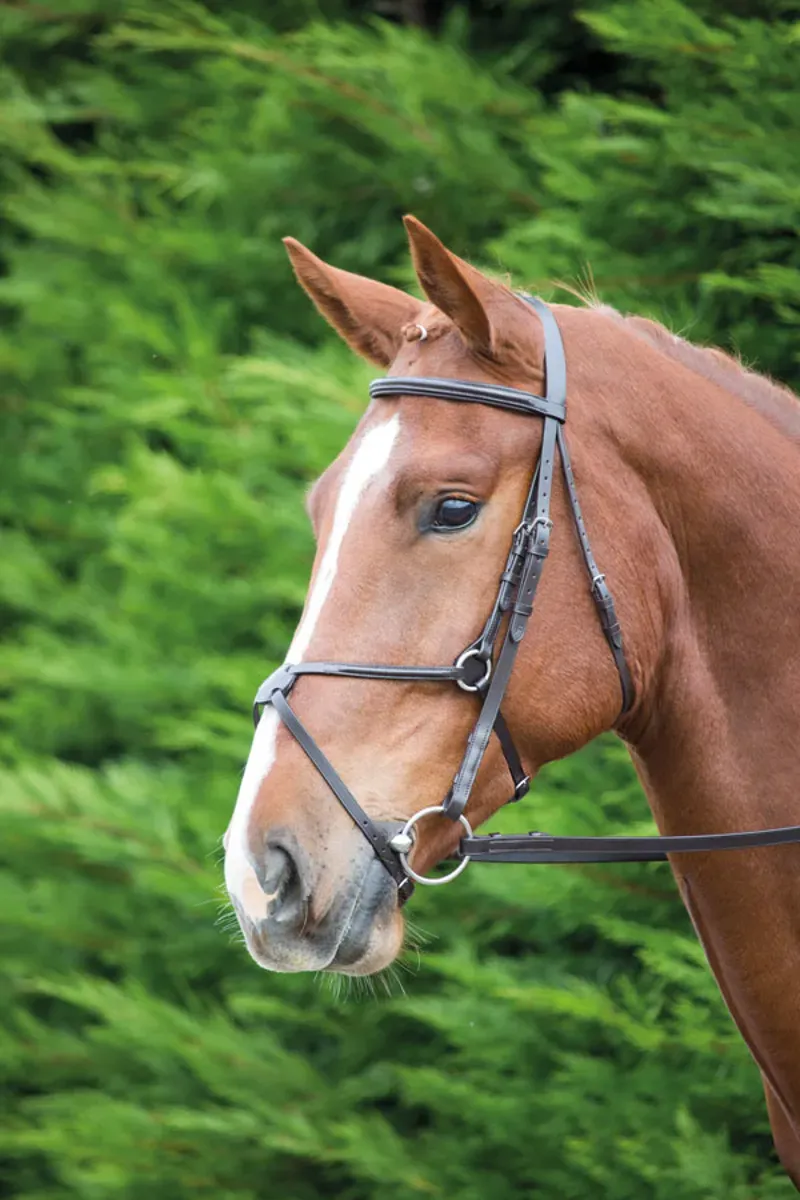 Velociti GARA Mexican Bridle Black