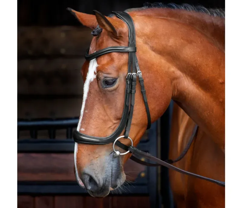 Velociti Ergononic Cavesson Bridle in Black