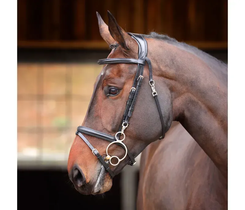 Velociti Rapida Training Bridle in Black