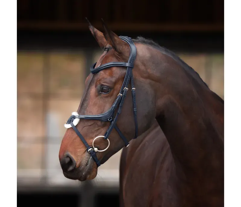 Velociti Lusso Elite Grackle Bridle Black
