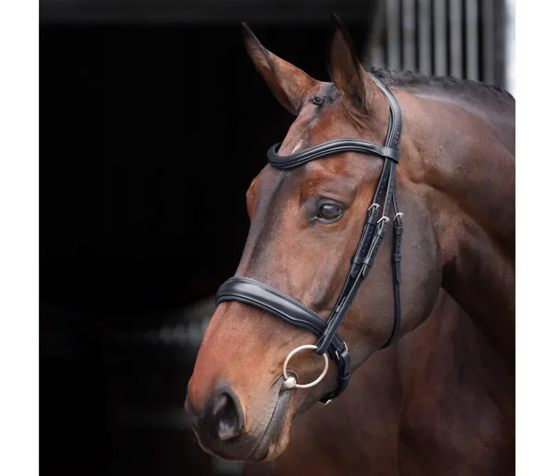 Velociti Lusso Elite Padded Cavesson Bridle Black