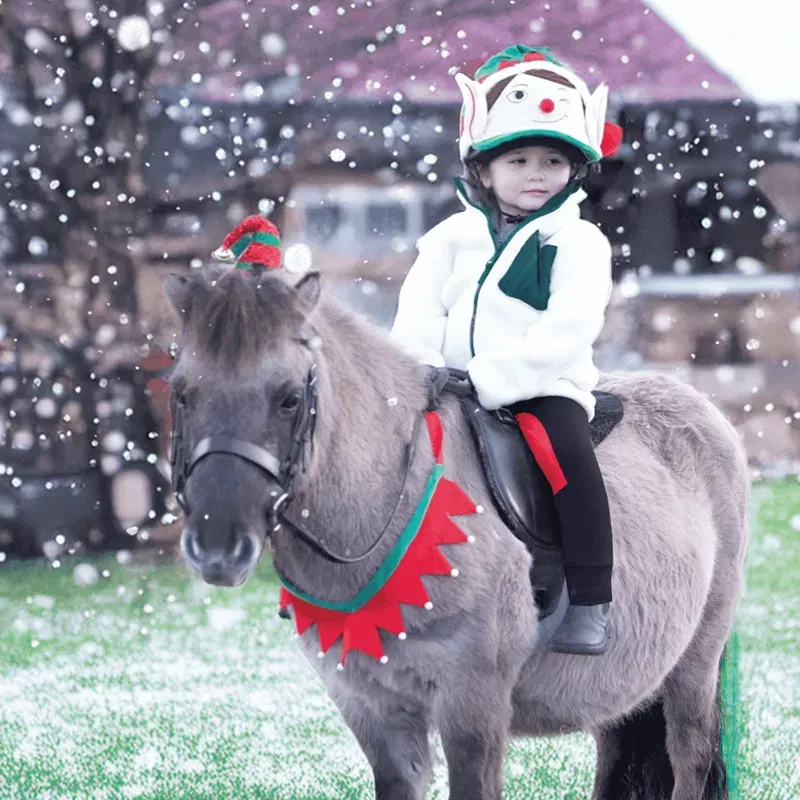 Equetech Festive Horse Christmas Breastplate in Red/Green-1