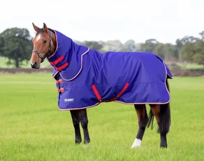 Tempest Original 100 Turnout Rug and Neck Set in Navy