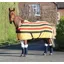 Tempest Original Newmarket Fleece Rug in Yellow