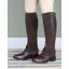 Moretta Suede Half Chaps in Brown