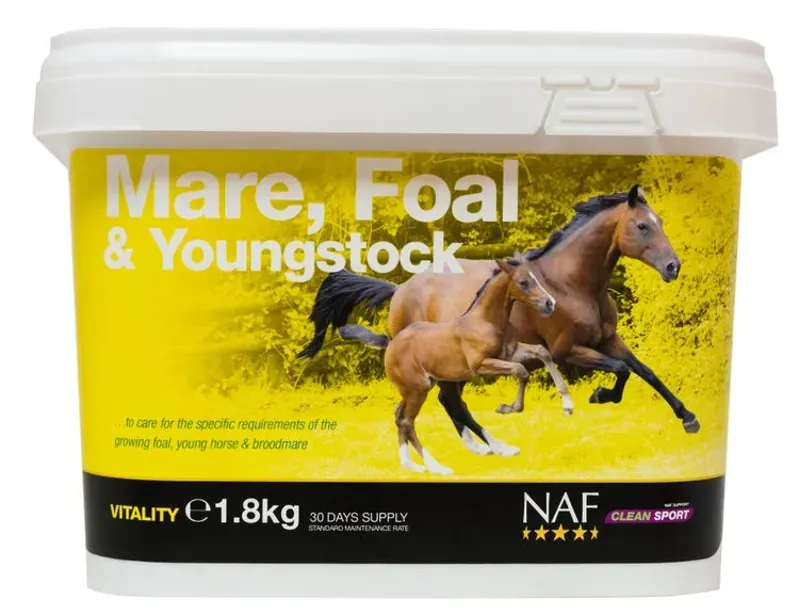 NAF Mare Foal and Youngstock