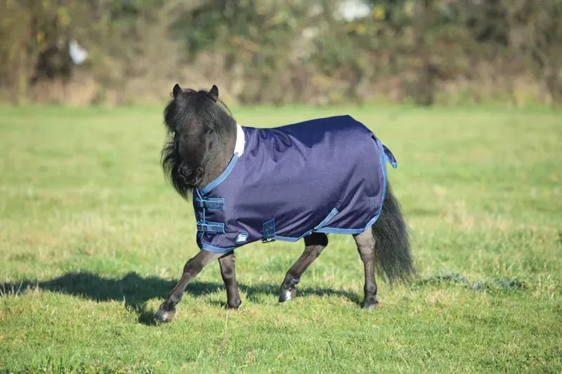 Tempest Original 200 Mini Turnout Rug Navy/Turquoise