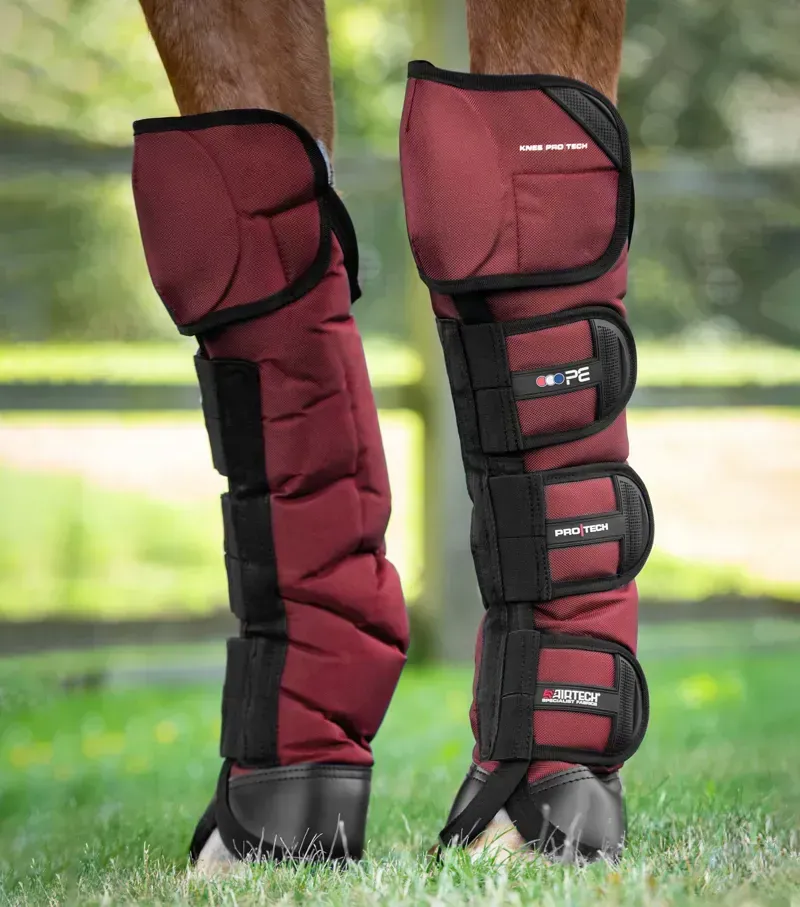 Premier Equine Ballistic Knee Pro-Tech Horse Travel Boots in Burgundy