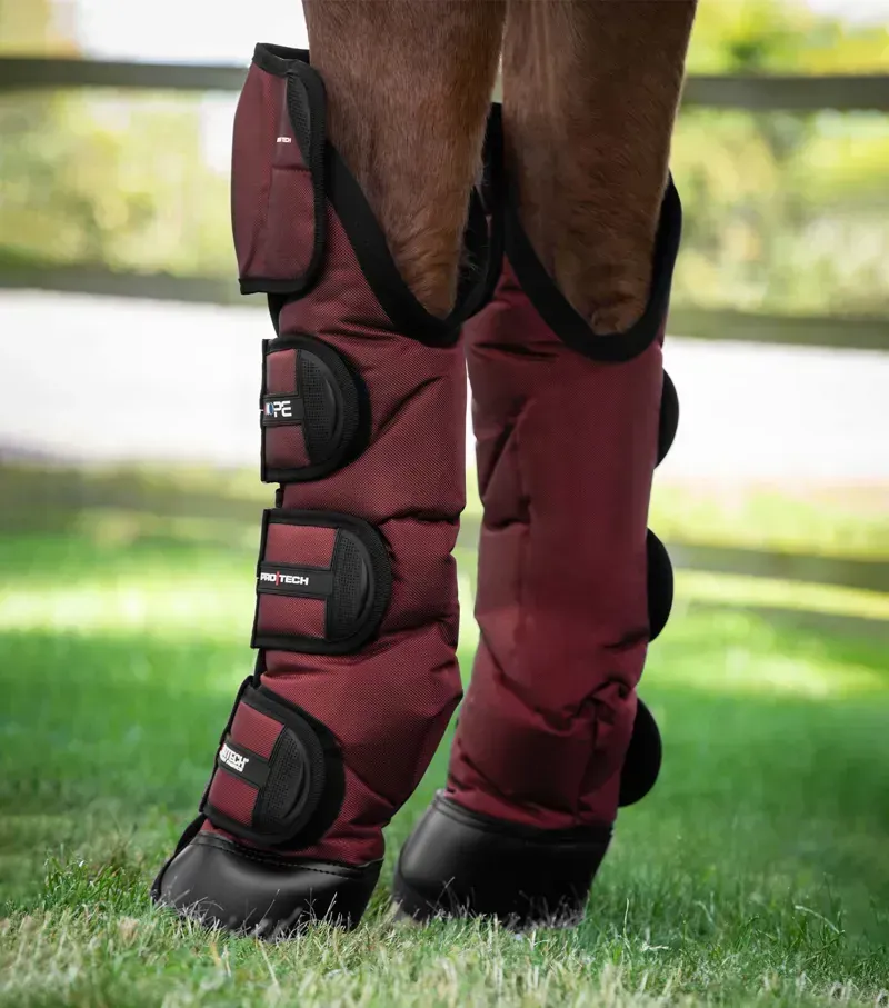 Premier Equine Ballistic Knee Pro-Tech Horse Travel Boots in Burgundy-2