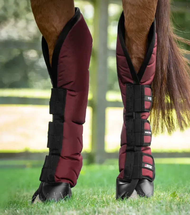 Premier Equine Ballistic Knee Pro-Tech Horse Travel Boots in Burgundy-3