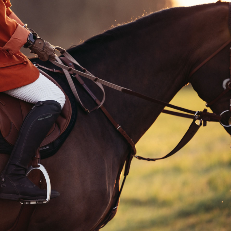 Stubben Breastplate Pro-Jump  Closed Martingale  Ebony-1