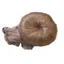 Equetech Bun Extension Hairnet in Brown