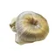 Equetech Bun Extension Hairnet in Yellow
