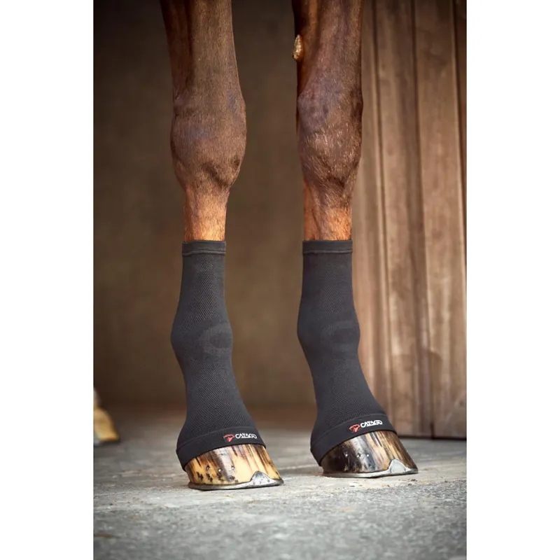 CATAGO FIR-Tech fetlock socks black
