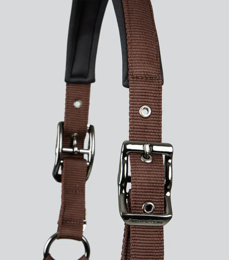 Premier Equine Corda Padded Head Collar With Lead Rope in Brown-2