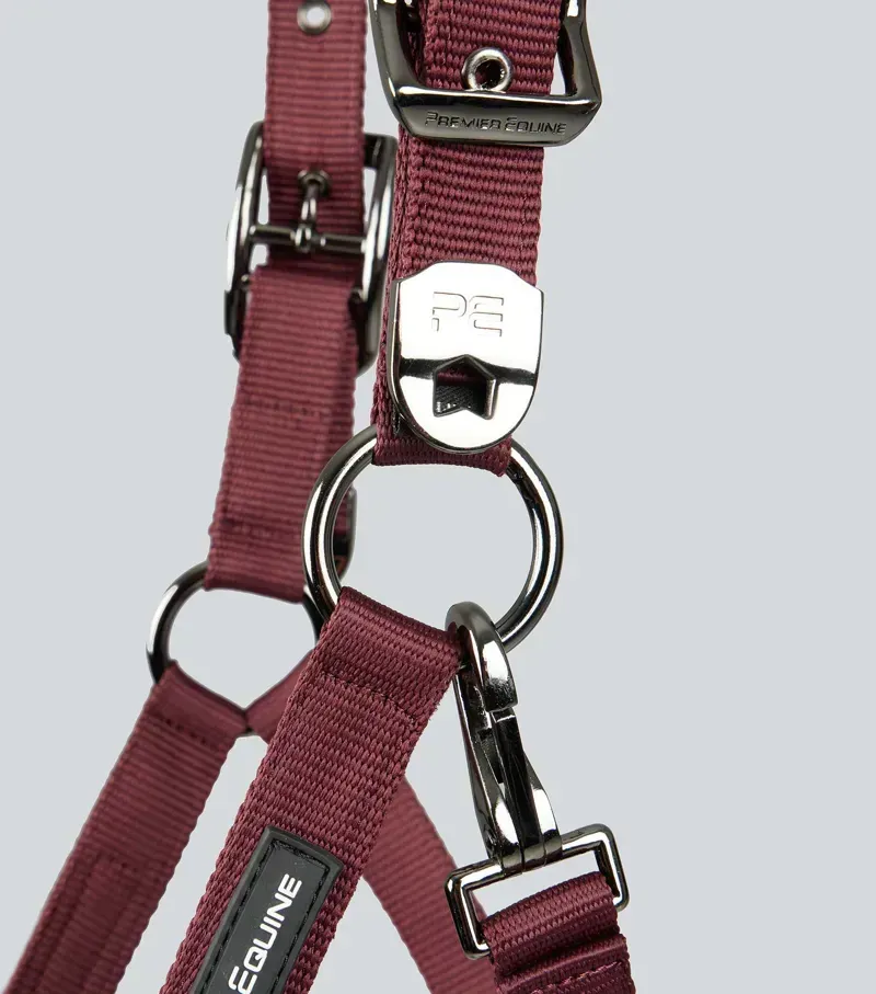 Premier Equine Corda Padded Head Collar With Lead Rope in Burgundy-3