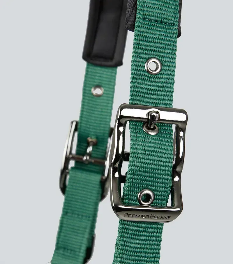 Premier Equine Corda Padded Head Collar With Lead Rope in Green-2