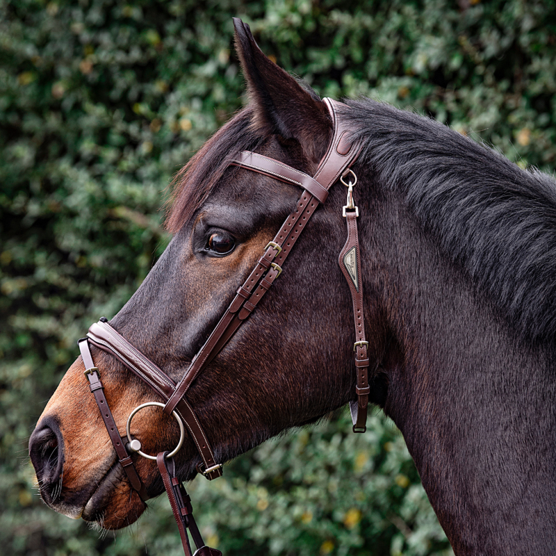 Equiline Anatomic Jumping Flash Bridle Brown-1