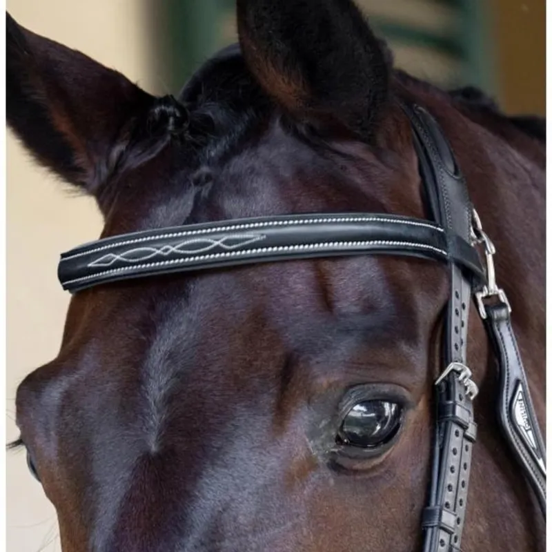 Equiline Flat Browband With Fancy Stitching Black