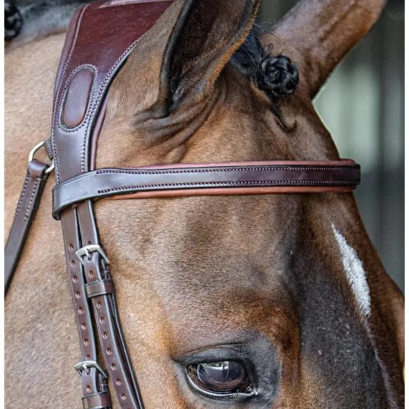 Equiline Flat Browband Brown