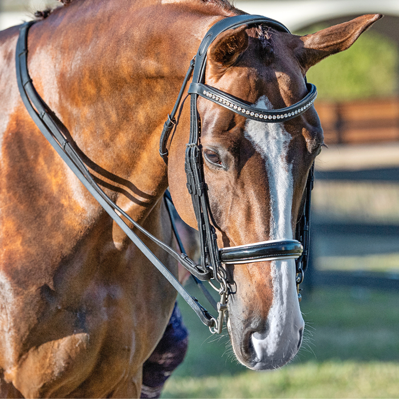 Equiline Sweeping U Shaped Browband with Rhinestone Black-1