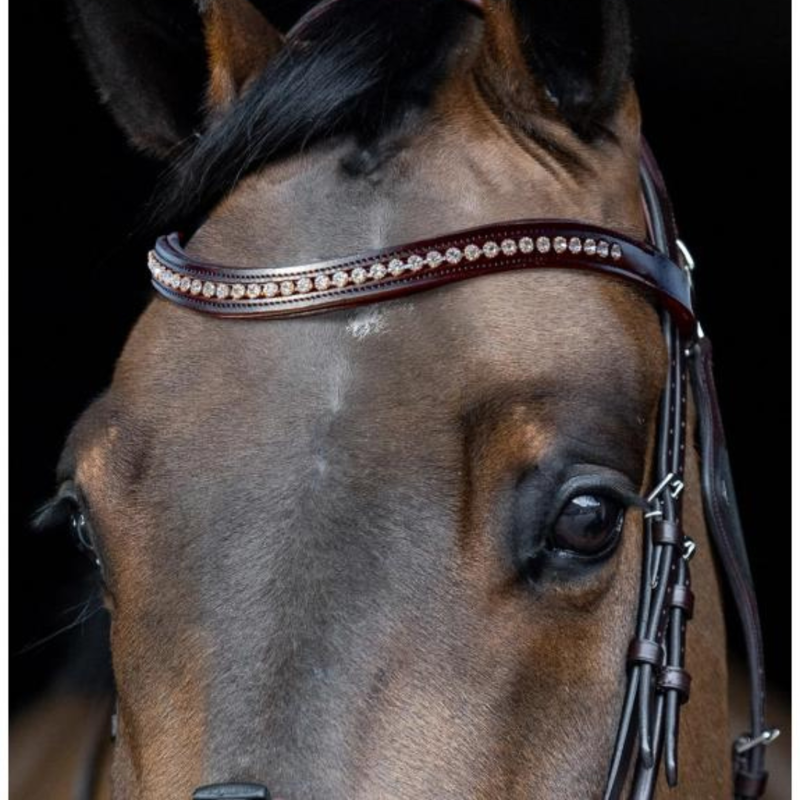 Equiline Sweeping U Shaped Browband with Rhinestone Brown-1