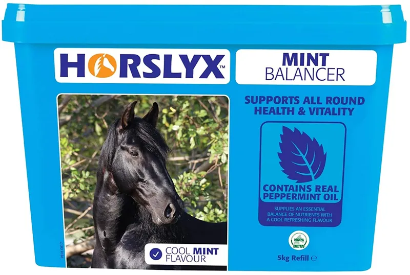 Horslyx Mint - - Balancer