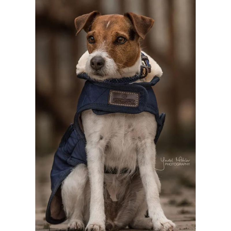 Kentucky Dogwear Dog Coat Navy-2