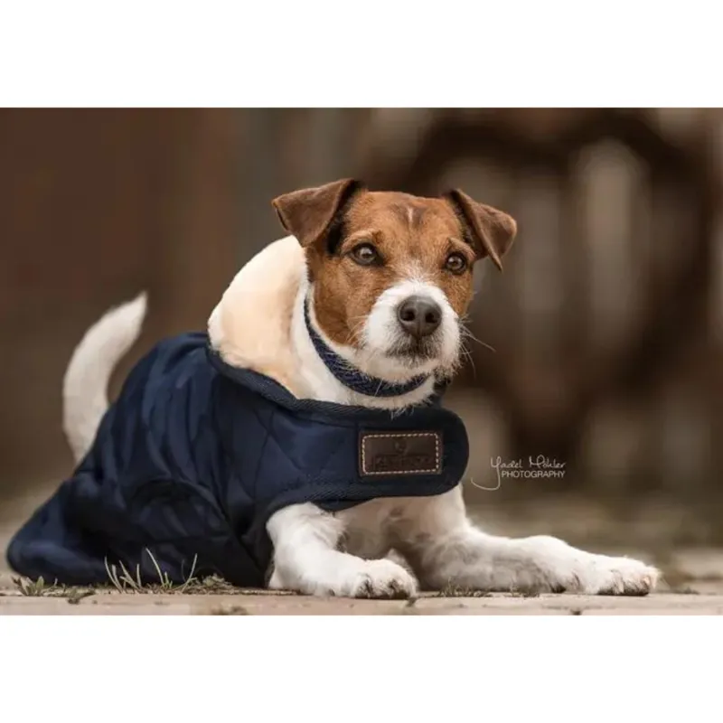 Kentucky Dogwear Dog Coat Navy