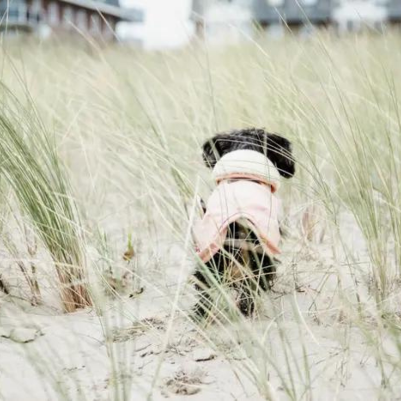 Kentucky Dogwear Waterproof Dog Coat 160g Coral-3