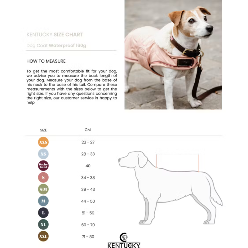 Kentucky Dogwear Waterproof Dog Coat 160g Coral-4