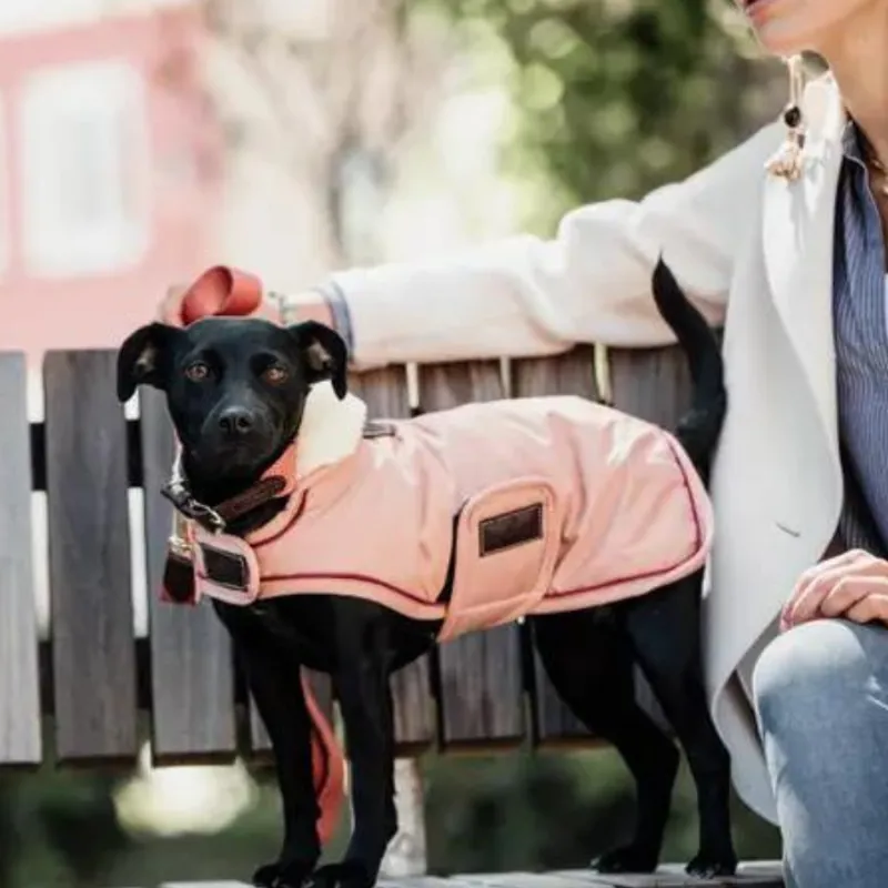 Kentucky Dogwear Waterproof Dog Coat 160g Coral