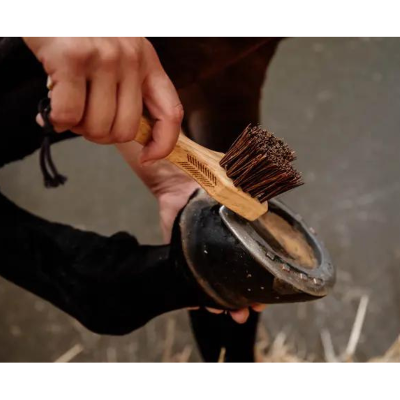 Kentucky Grooming Deluxe Hoof Pick and Brush-3