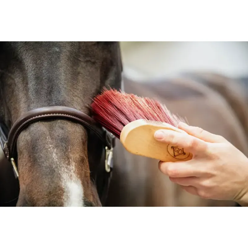 Kentucky Grooming Deluxe Middle Brush Long Brown